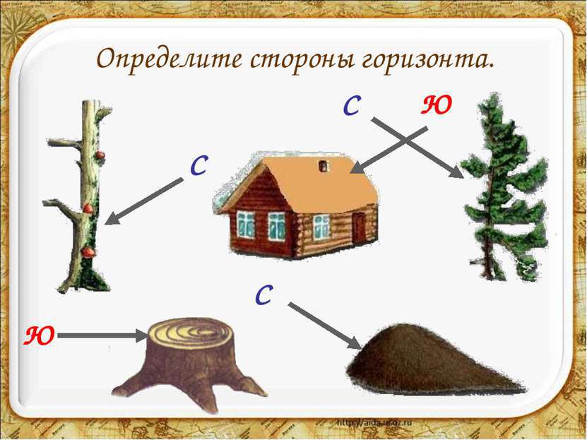 По каким природным признакам можно определить стороны горизонта рисунки