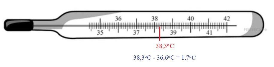 Температура тела здорового человека равна 36 6 такую температуру называют нормальной на рисунке