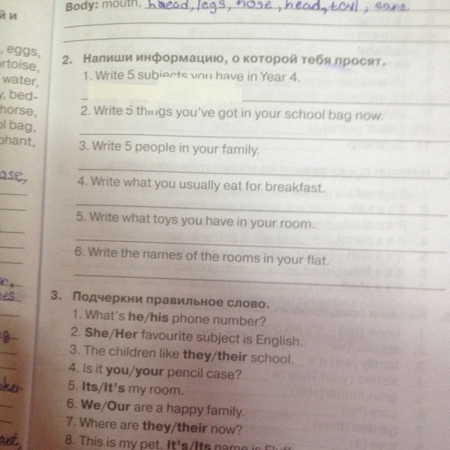 You have in year 4. Write 5 subjects you have in year 4 перевод. Write 5 subjects you in year 4 перевод. С английского на русский write 5 subjects you have in year 4. Напиши информацию о которой тебя просят английский 4 write 5 subjects you.