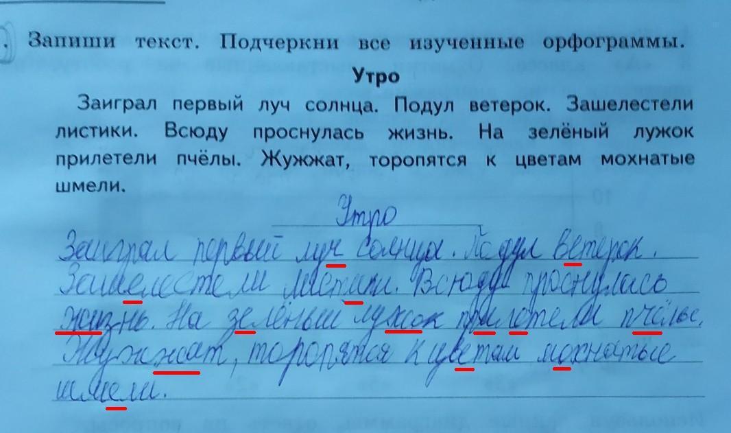 Найди в тексте и подчеркни имя. Списать текст подчеркнуть орфограммы 1 класс. Запиши текст 1 класс. Текст правильно 1 класса.