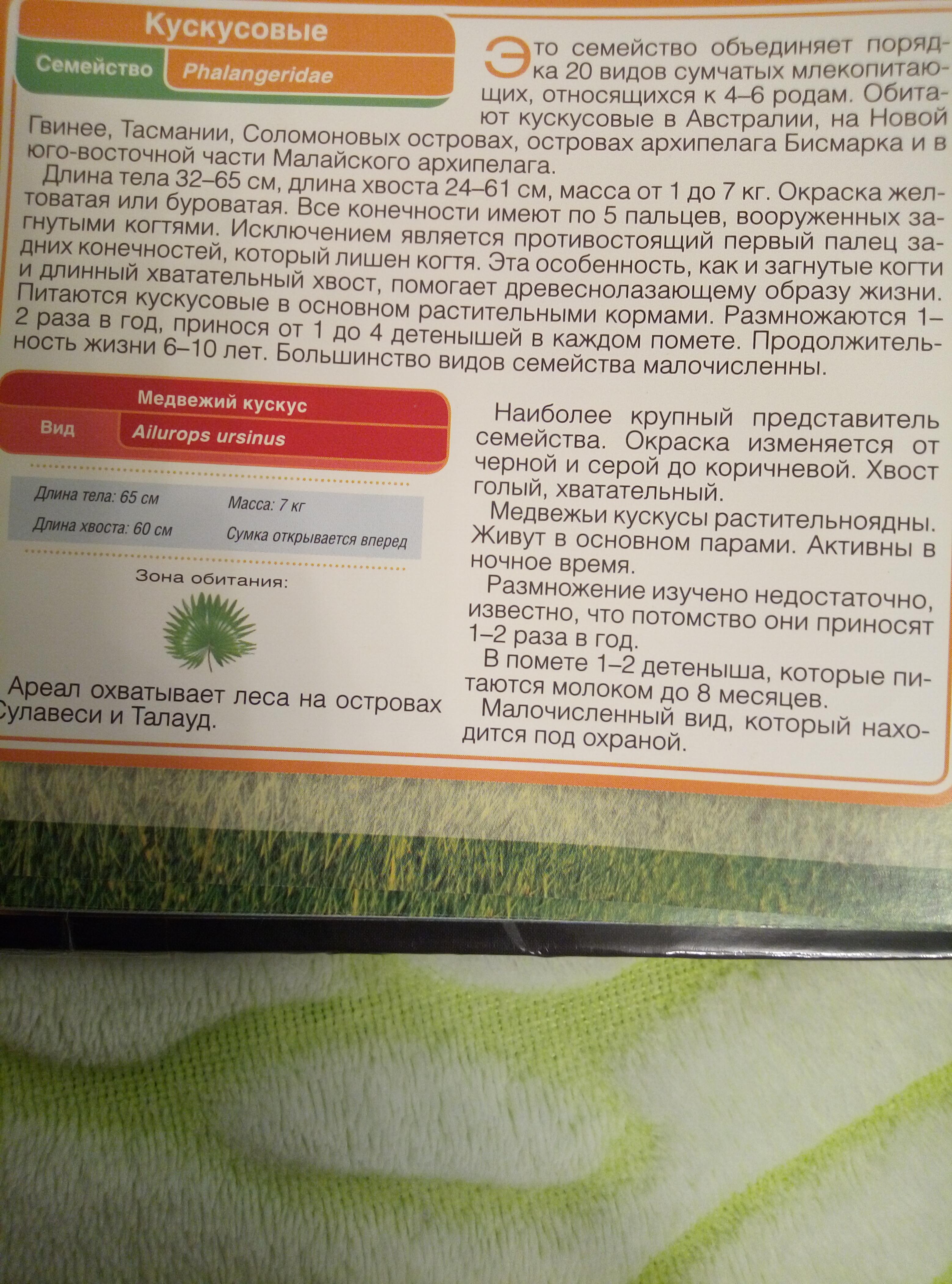 Ботаника от греческого слова. Ботаника от греческого слова