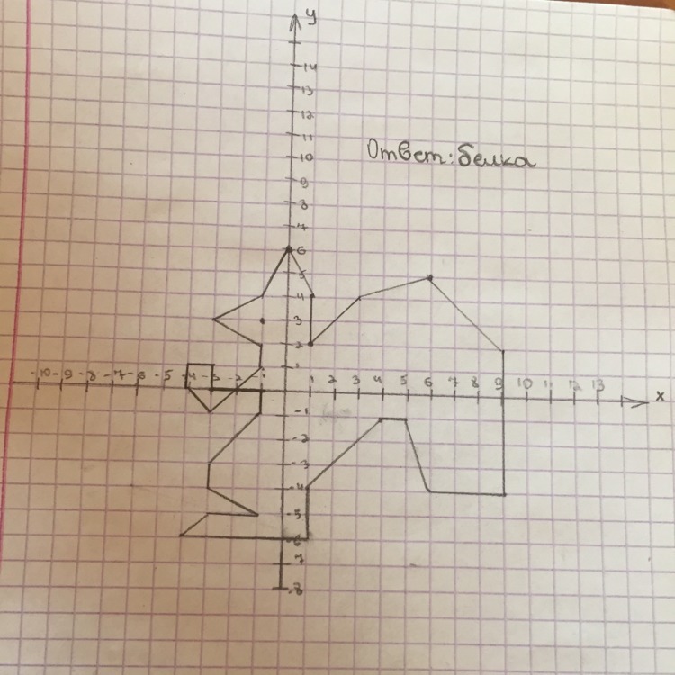 Белка 1 4 1 6. Белка по координатам. Рисунок по координатам белка. Белка по координатной плоскости. Елка на координатной плоскости.