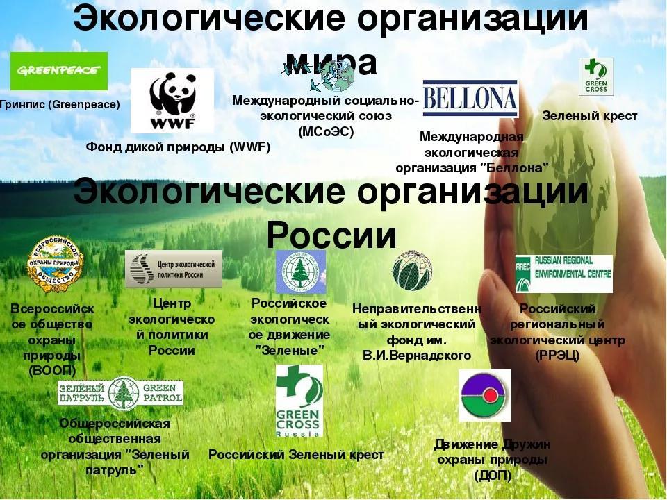 Организации мирового уровня. Международные экологические организации. Экологические организации в России. Международные и российские природоохранные организации.. Между нородныеиэкологические организации.