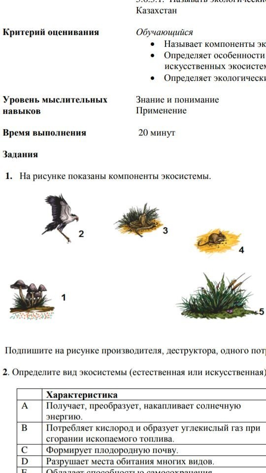 Изучите фрагмент экосистемы представленный на рисунке и выполните задания лев