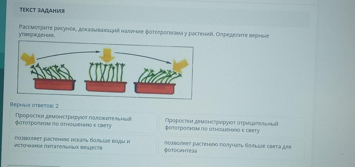 Рассмотрите рисунок что позволяет обнаружить данный опыт