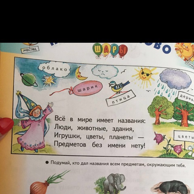 Давай назови. Подумай кто дал названия всем предметам окружающим тебя. Кто дал название предметам. Все в мире имеет название. Стих все в мире имеет название люди животные здания.