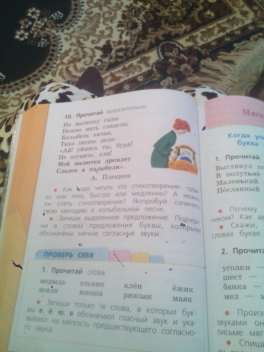 Мой малютка дремлет сладко в колыбели мягкие согласные звуки. Запишите выделенные слова подчеркни. Подчеркните грамматические основы в сложных предложениях. Выпиши подчёркнутое слово в начальной форме. Подчеркни орфограммы в словах.