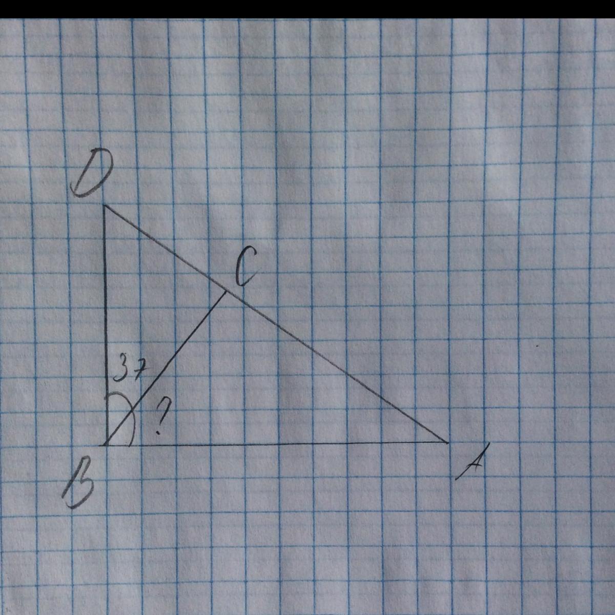 Отрезки bc