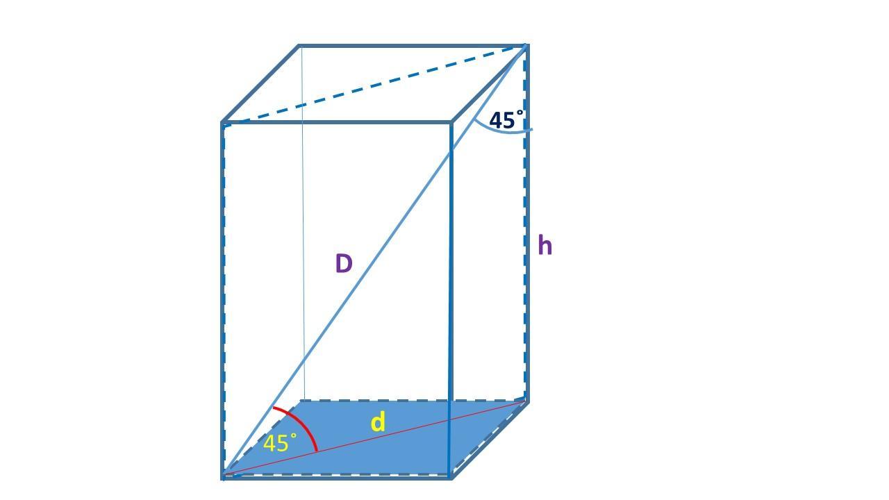Диагональ параллелепипеда образует угол 45