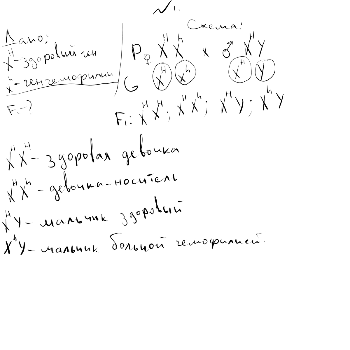 Голубоглазый мужчина оба родителя которого имели карие