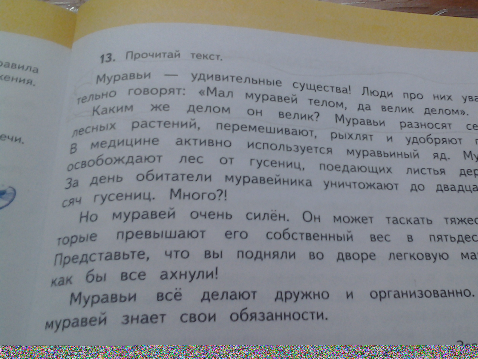 Березок род число падеж. Определи род число падеж. Солнце род число падеж. Пил из чашки у существительных определи число род падеж. Гуляли на улице какой падеж число род.