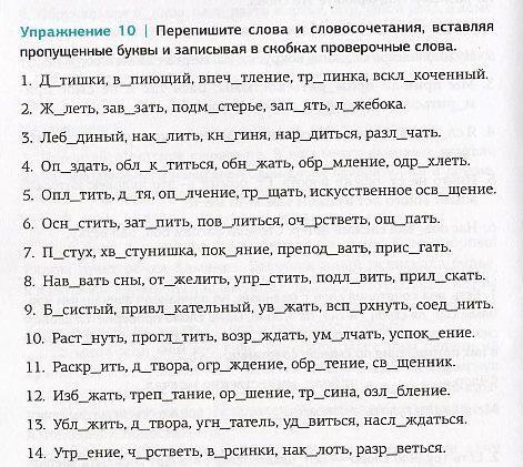 495 упражнение по русскому. Задание по русскому языку упражнения 224.