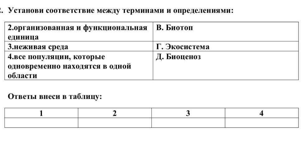 Установите соответствие между понятием и определением протопоп