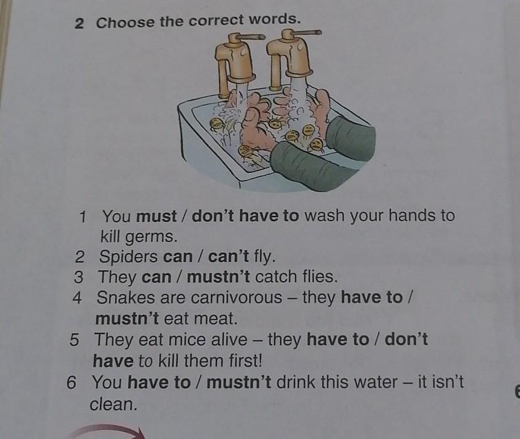 Choose the correct word everything was. 2 Choose the correct Word. Choose the correct Word must 1. Choose the correct Word 6 класс must. Can can't для детей 2 класса.