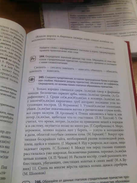 Тишина громадных комнат нарушаемая только изредка русский язык 8 класс гдз