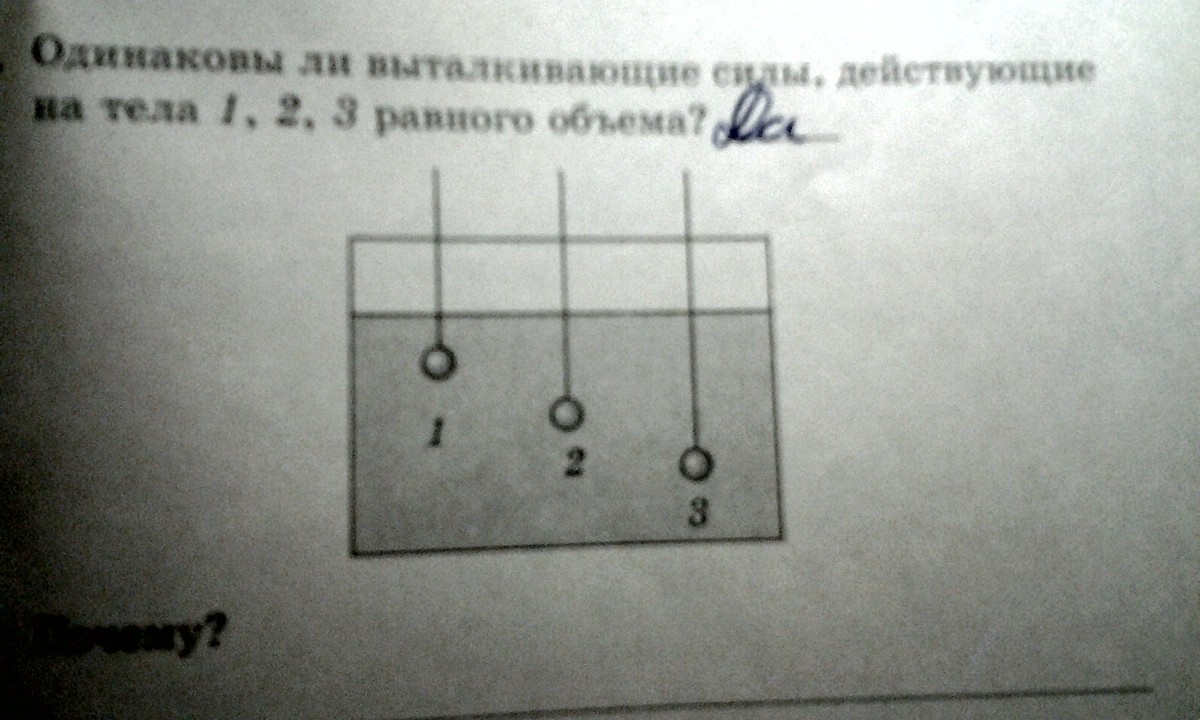 3 тела 1 2 3. Одинаковы ли выталкивающие силы действующие на тела. Одинаковы ли Выталкивающая силы действующие на. Одинаковые ли Выталкивающая силы действуют на тела 1 2 3. Одинаковы ли выталкивающие силы действующие на объем 1 2 и 3.