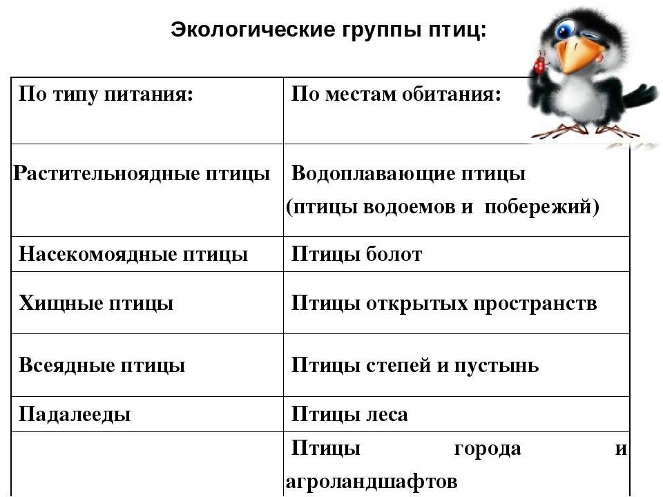 2 3 примера птиц