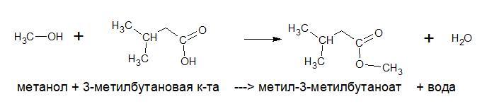 Кислота метанол. 3 Метилбутановая кислота. Метилбутанатметилбутанат. Эфир изовалериановой кислоты. Метилбутаноат формула.