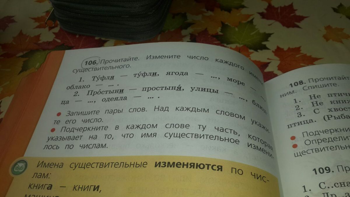 Прочитайте изменяя слова. Прочитайте измените число каждого имени существительного. Измените число имен существительных запишите пары слов. Туфля туфли ягода ягоды. Прочитай пары слов упражнение 106.