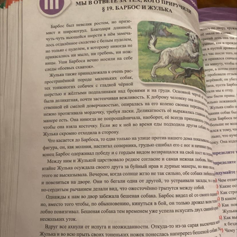 Фестоны это в барбос и жулька. Барбос и Жулька иллюстрации. Произведение Барбос и Жулька текст. Таблица характеров Жульки и Барбоса. Какое было отношение к друг другу у Барбоса и Жульки.