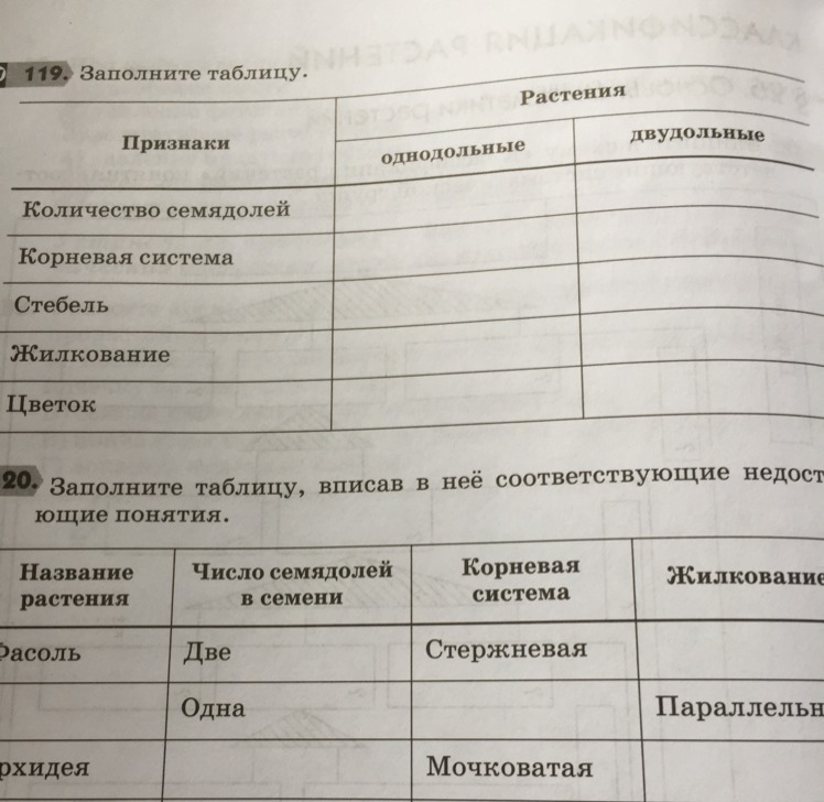 Впишите в таблицу номера