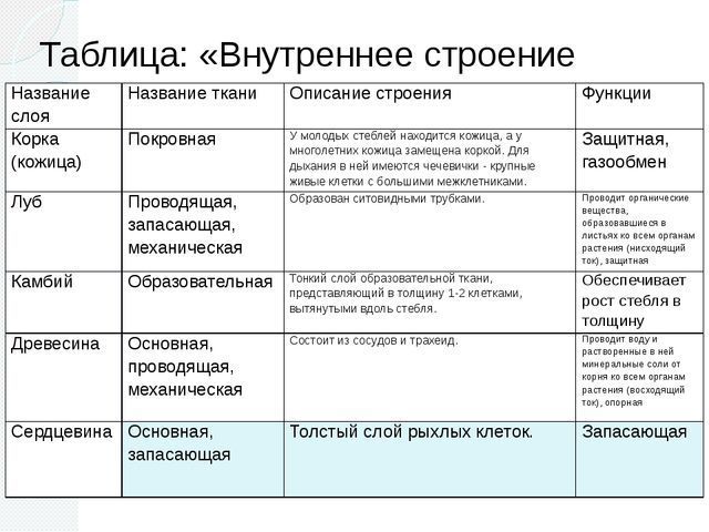 Таблица левеллеры и диггеры 7 класс - TouristMaps.ru