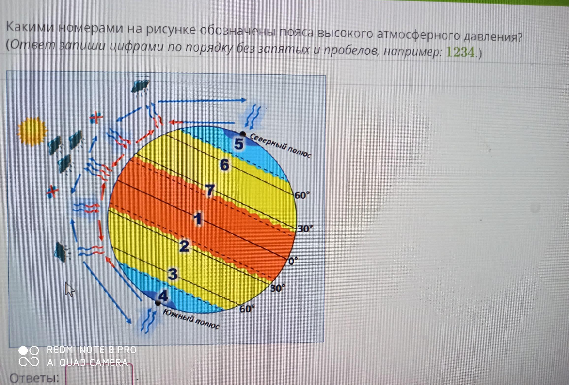 Какой цифрой на рисунке обозначена структура регулирующая количество света