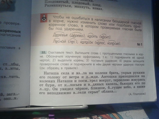 Прочитай текст придумай заголовок составь план определи тип текста у веры был бельчонок рыжик