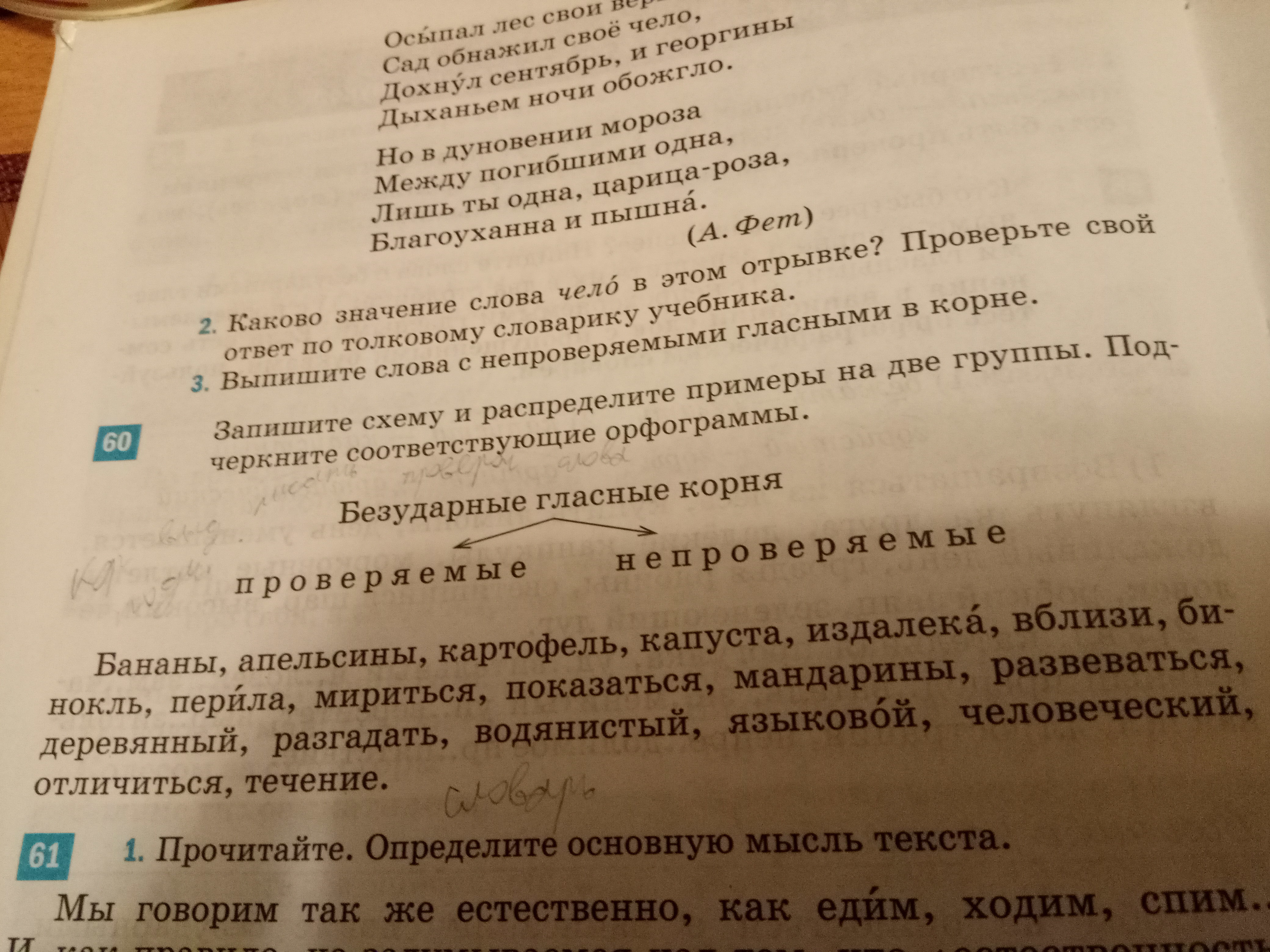 Обнажившиеся проверочное слово к а