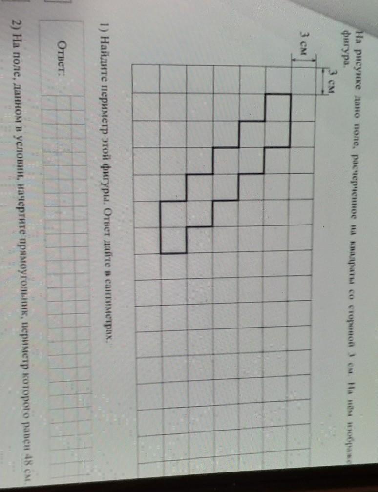 На рисунке дано поле расчерченное на квадраты со стороной 5 см и 3 см