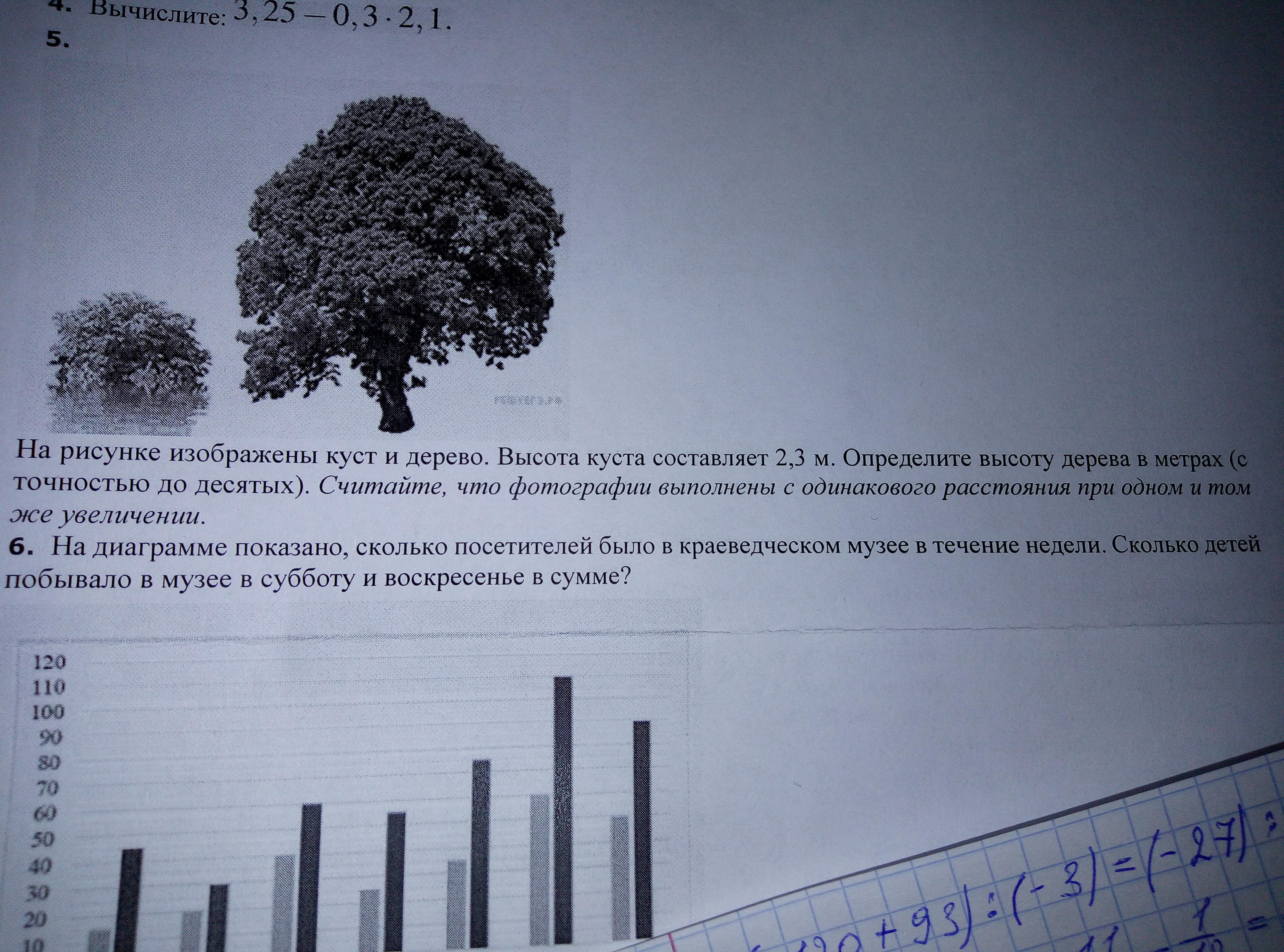 На рисунке изображены здание и стоящее рядом дерево высота дерева 13 метров какова высота здания