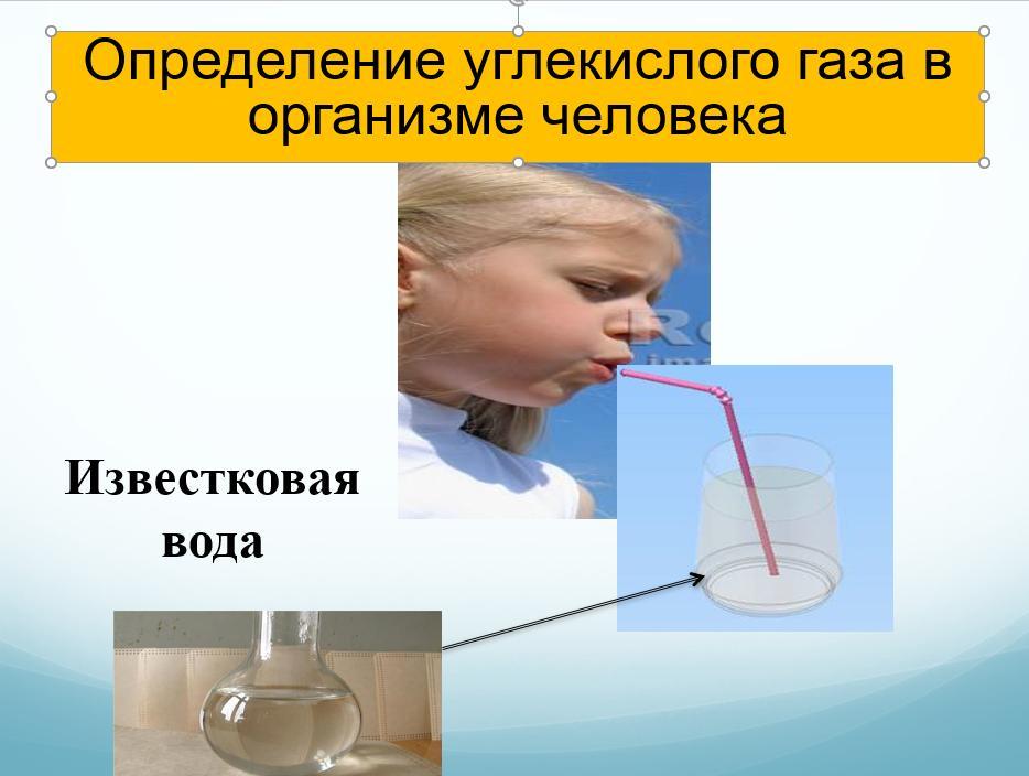 Вывод углекислого газа из организма. Углекислота в организме человека. Углекислый газ реакции в организме человека. Кислород и углекислый газ в организме. Окисление кислорода в организме.