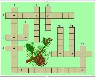 Хвойный лес — 6 букв сканворд