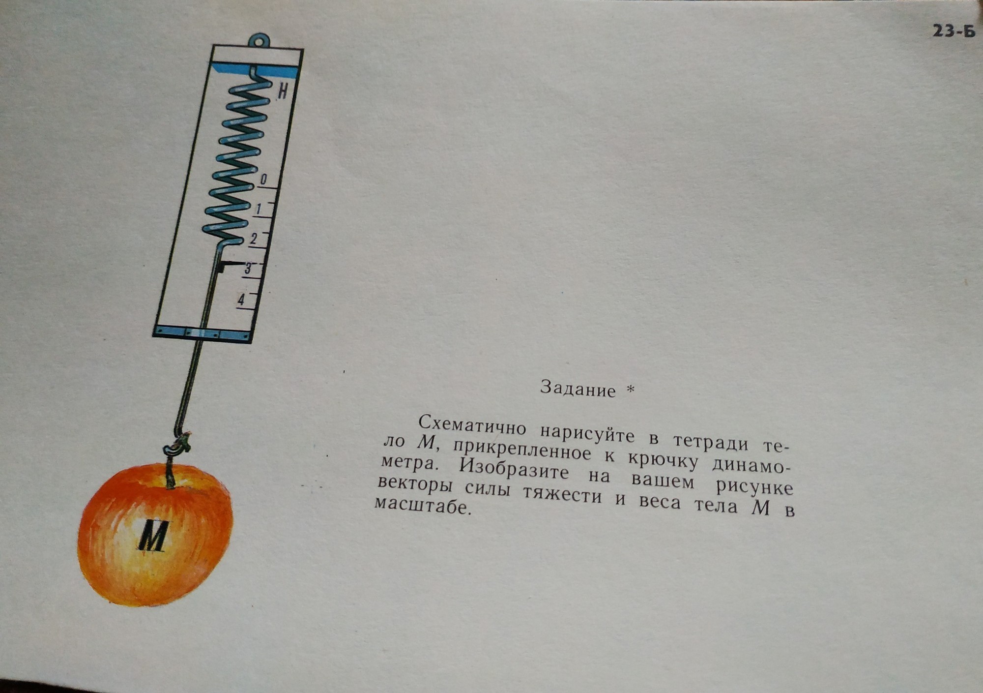 Нарисуйте в тетради тело м и изобразите в масштабе вектор силы действующей на тело