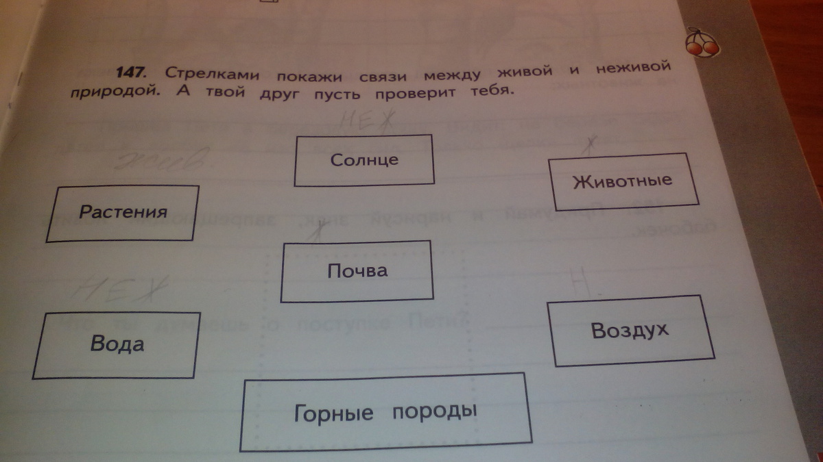 Покажи связь между живой и неживой природой 3 класс стрелками схема