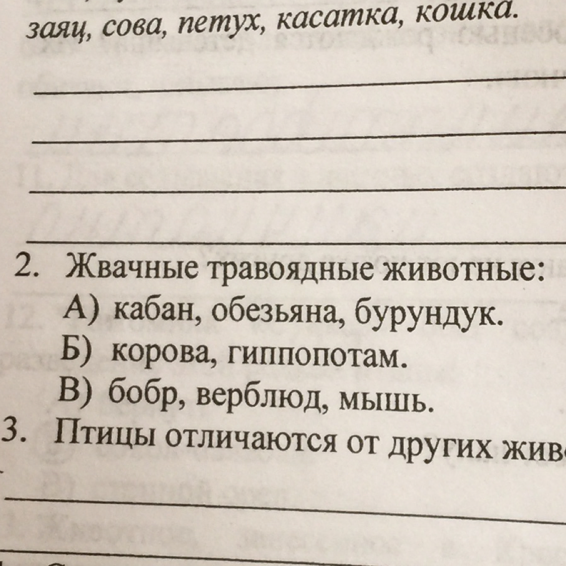 Дай описание номер 2