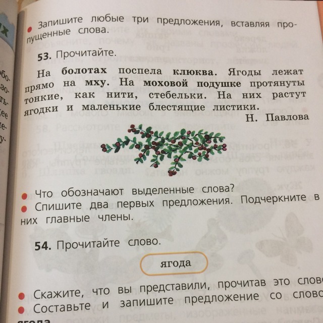 Прочитайте на болотах. На болотах поспела клюква. Подчеркнуть главные предложения на болотах поспела клюква.. На болотах поспела клюква синтаксический разбор предложения.