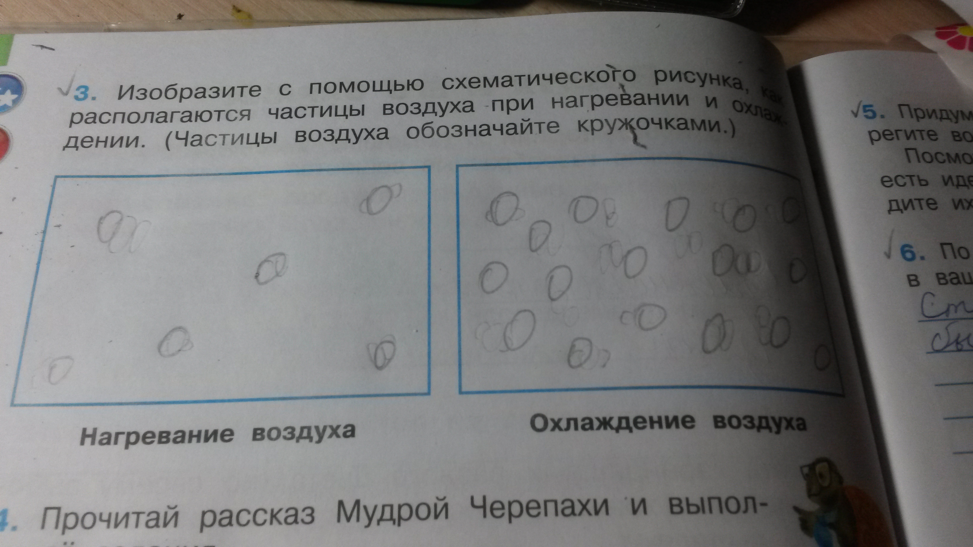 Изобразите с помощью схематического рисунка как располагаются