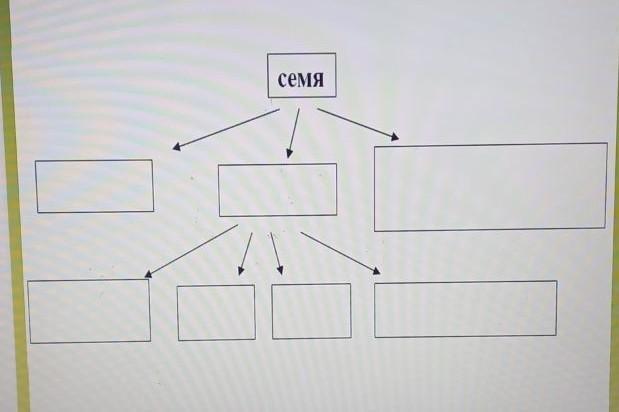 Заполните схему ответ