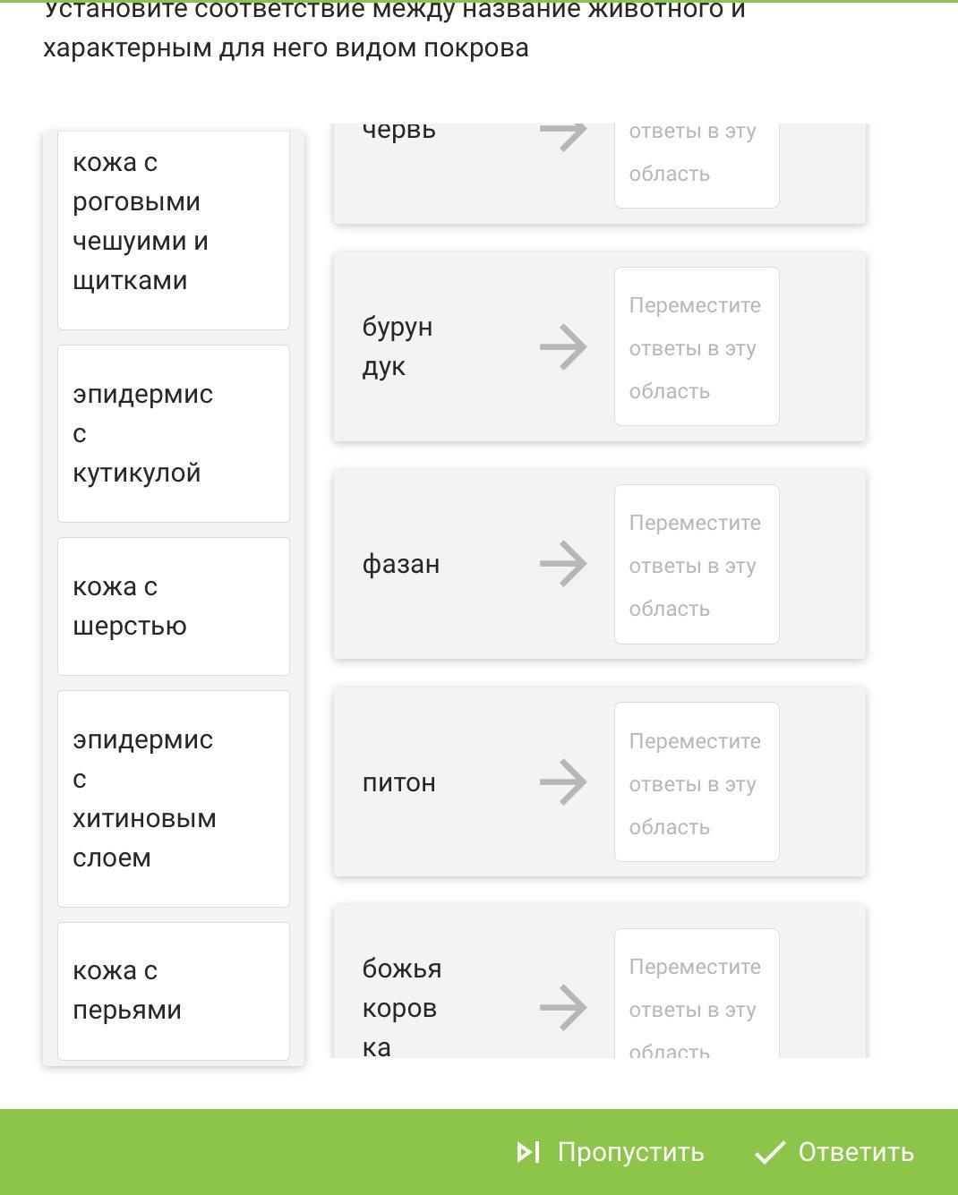 Установите соответствие между классом животных
