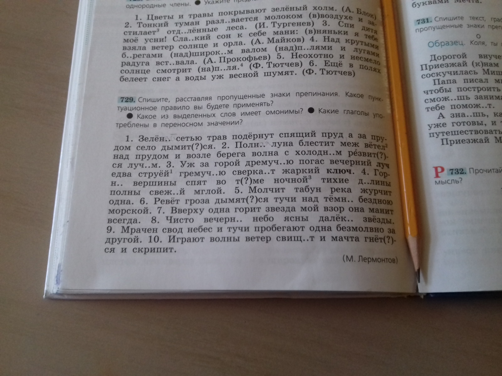 Зеленой сетью трав подернут спящий пруд а за прудом село дымится схема