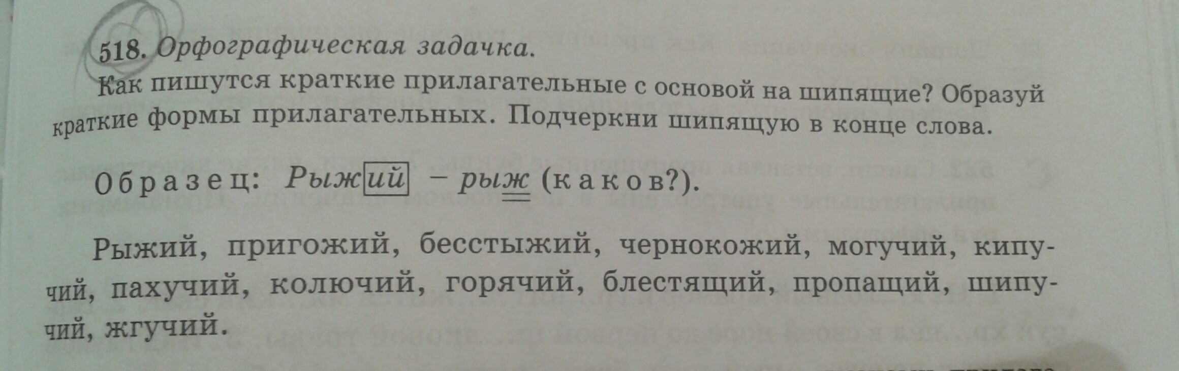 Предложение со словом блестящий. Замени слово блестящий из 14 предложения.