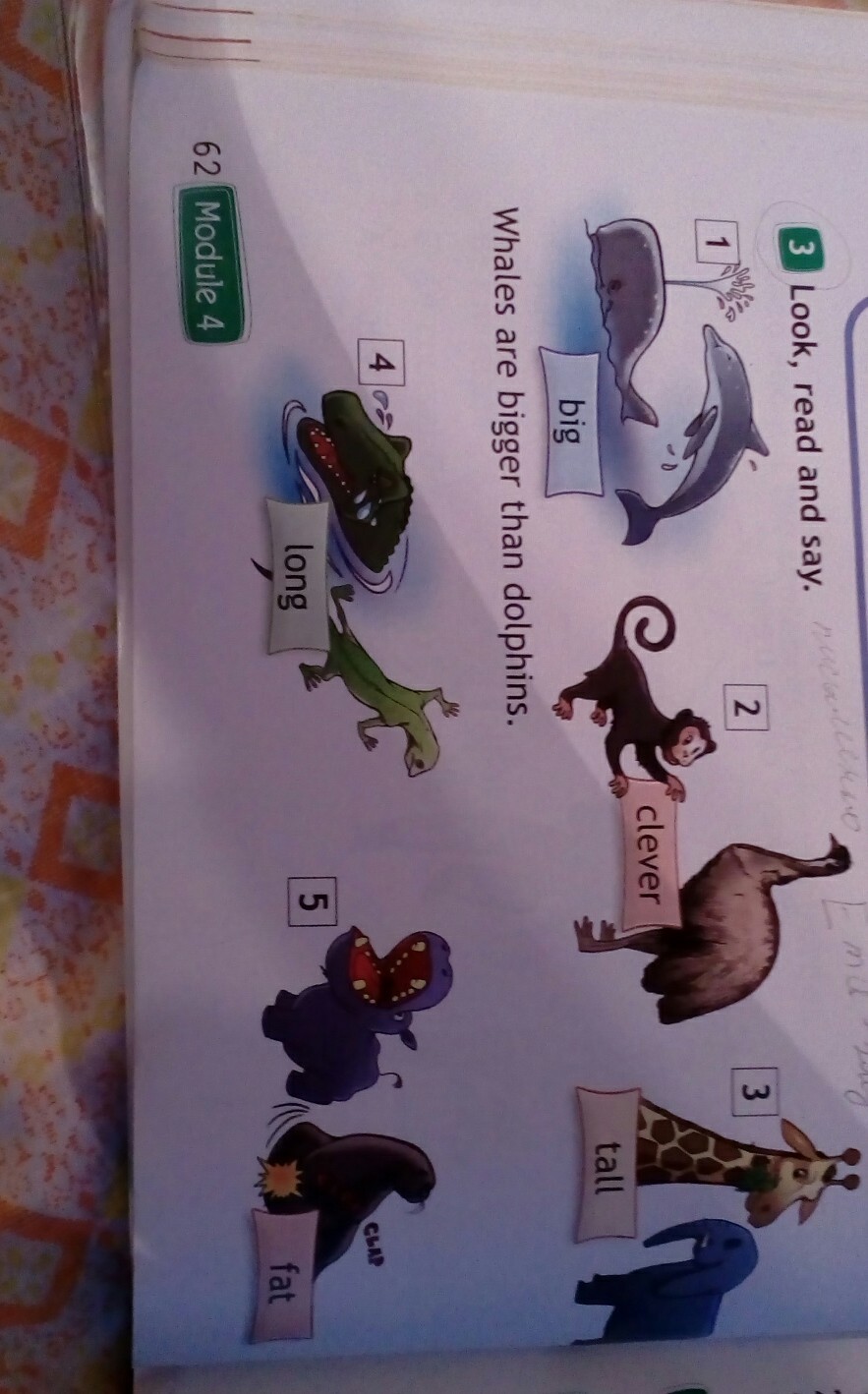 3 look read and say. There is are a lot of. Задание по английскому look and complete. Look read and say yes or no 4 класс. 3 look read and say.