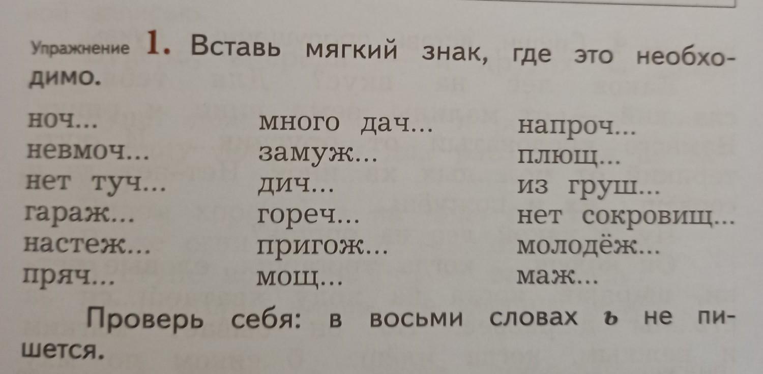 На полу на занавесках на диване везде играл солнечный свет