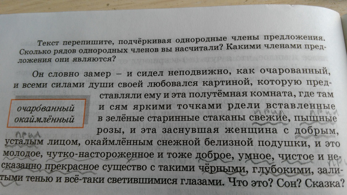 Нарушение в предложении с однородными членами