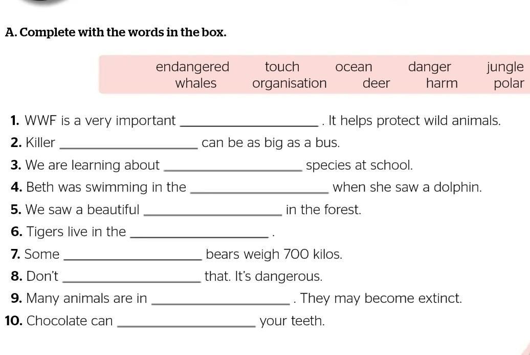 The words from the box