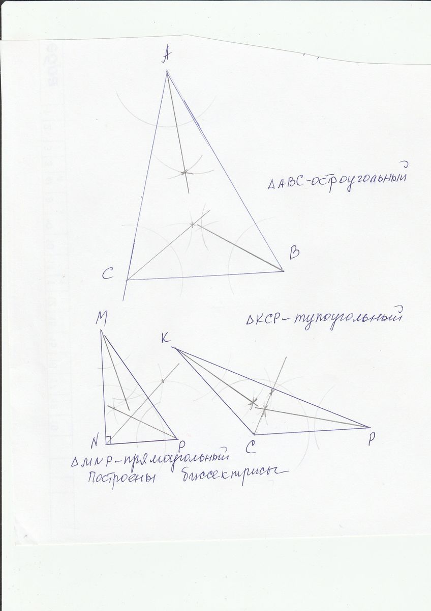 Биссектриса тупоугольного треугольника. Построение Медианы в тупоугольном треугольнике. Построение Медианы треугольника. Построение биссектрисы треугольника.