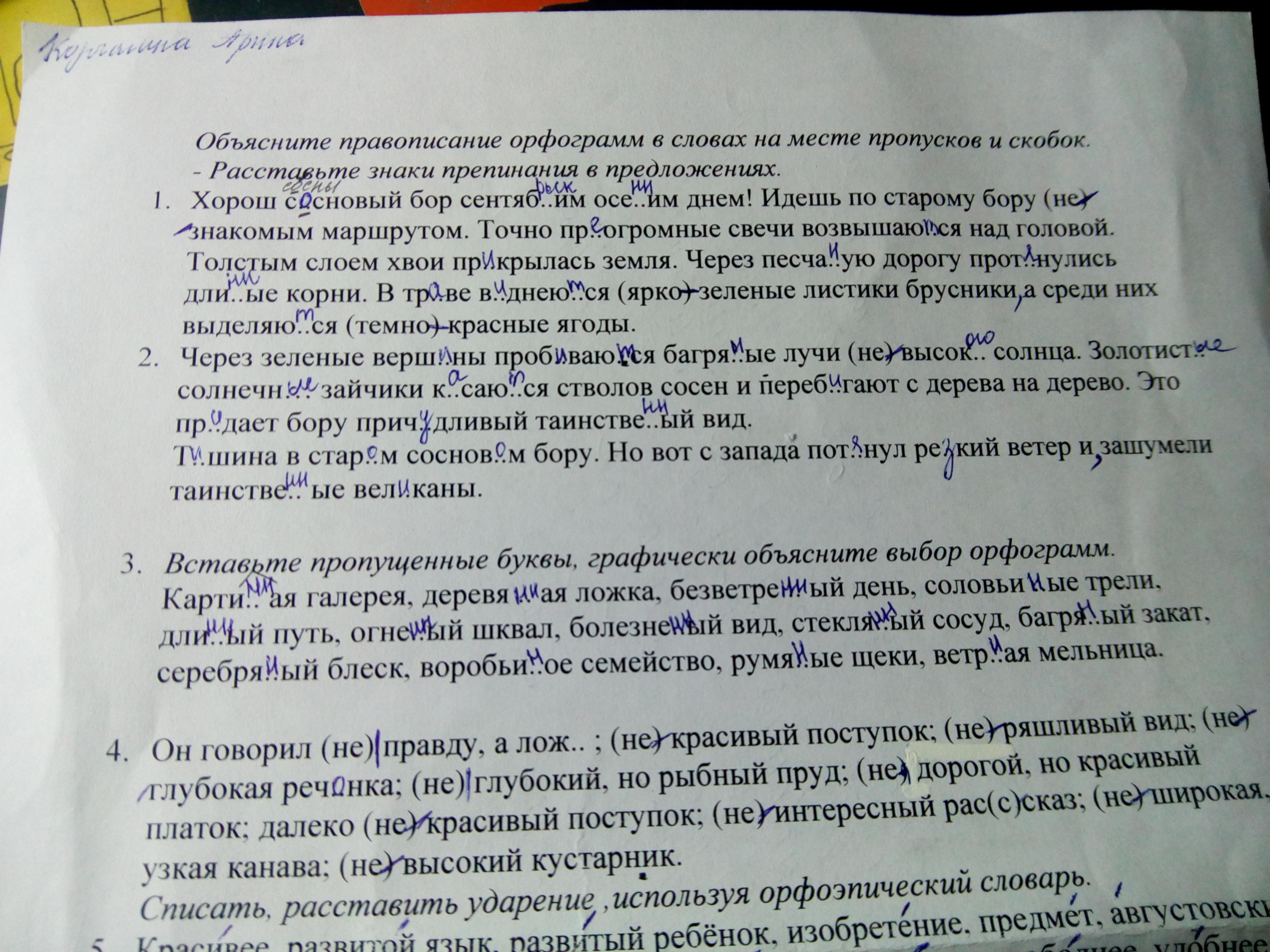 Выполни орфографическую подготовку объясни написание