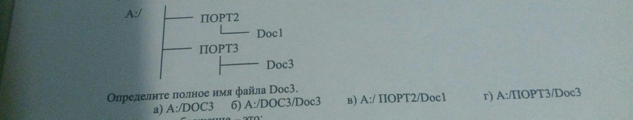 Полный имя решение. Дано дерево каталогов назовите. Назовите полное имя файла doc3. Дано дерево каталогов назовите полное имя файла doc3 doc e:. Дано дерево каталогов назовите полное имя doc3.