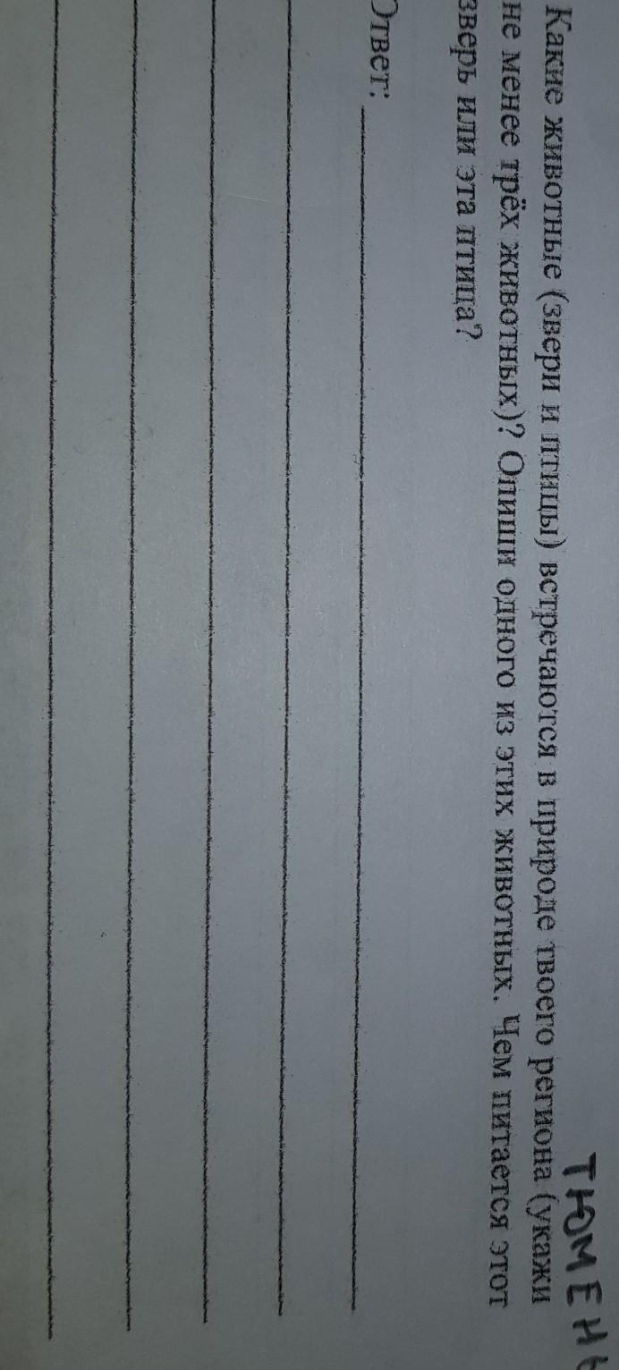 Какие животные встречаются в природе твоего региона. Какие звери встречаются в природе твоего региона. Какие звери встречаются в твоем регионе укажи не менее 3 зверей.